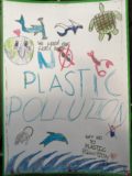 Plastic Pollution 3