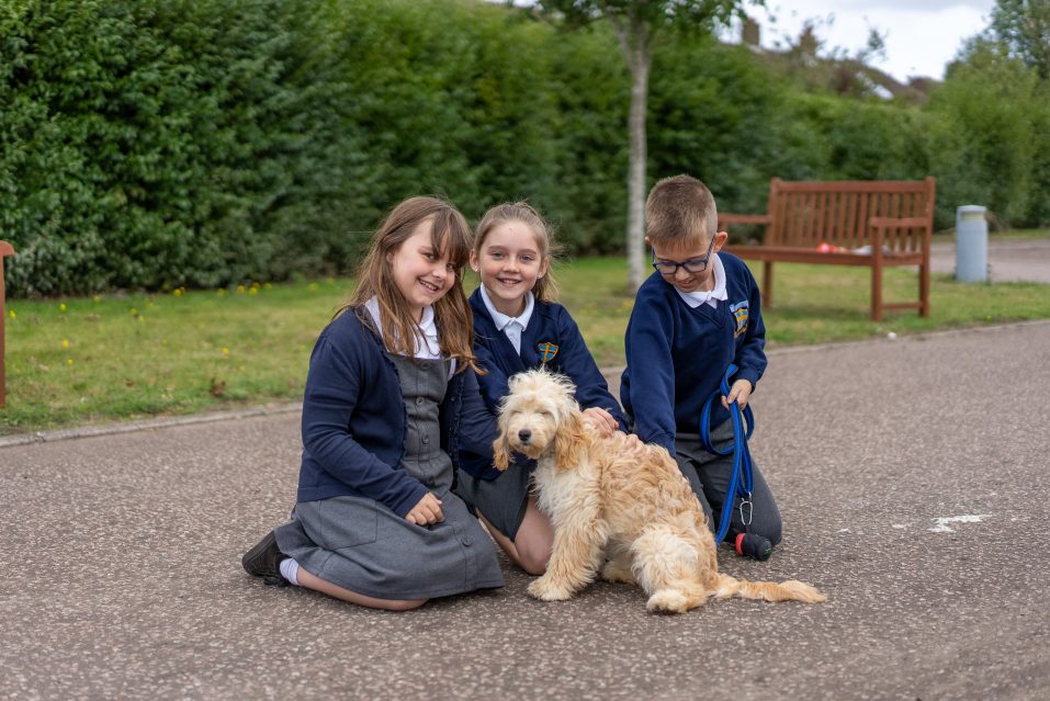 Lili the Cockapoo at Peterhouse Church of England Academy - Credit DNEAT