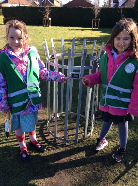 Eco Council Safety Wire