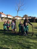 Eco Council filling in hole