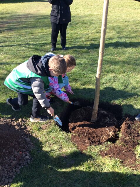 Eco Council planting a plant